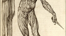 Timeline: Historia de la Anatomía