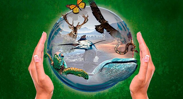 Conferencia Estratégica sobre Diversidad Biológica de Estados Unidos.