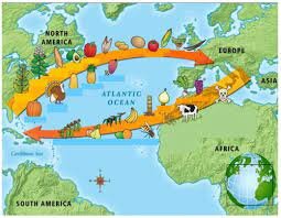 Intercambio Colombino