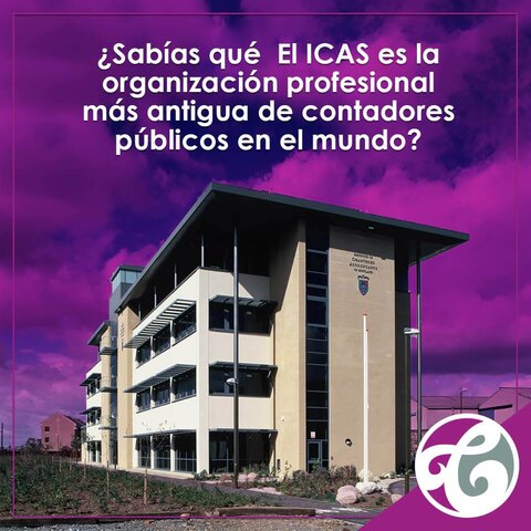 Profesionalización de la contabilidad