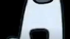 Timeline: My timeline SS