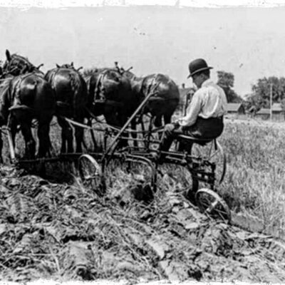 Timeline: Agriculture History 5/7