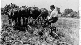 Timeline: Agriculture History 5/7