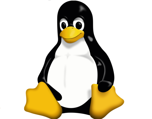 Linux