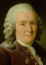 Carlos Linneo (1707-1778)