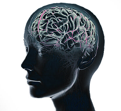 EL HEREDITARISMO Y LA TEORÍA DE LA DEGENERACIÓN EN EL SIGLO XIX