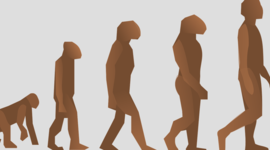 Timeline: inicios del planeta tierra, evolución celular de procariotas y eucariotas y evolución de los seres vivos.