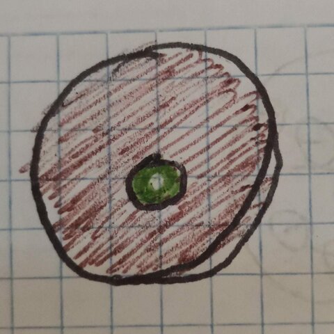 ENERO 1, 1911 RUTHERFORD