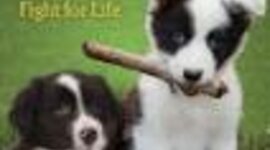 Timeline: "Fight For Life" Timeline