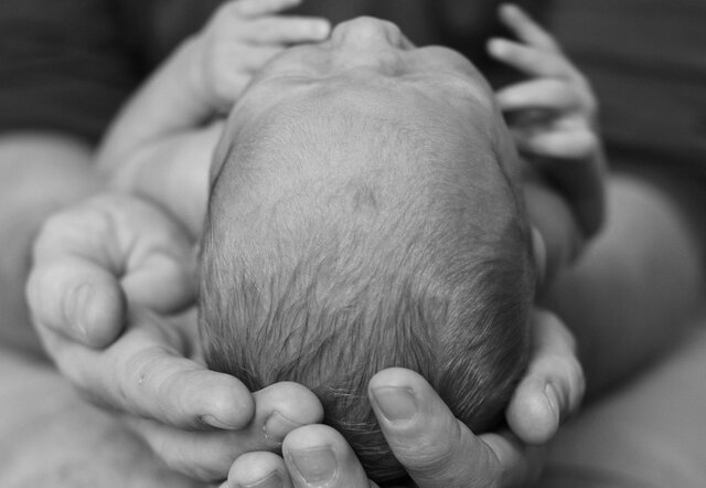 Inclusión de instituciones familiares en legislación civil