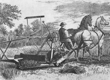 Revolución agrícola o Neolítica