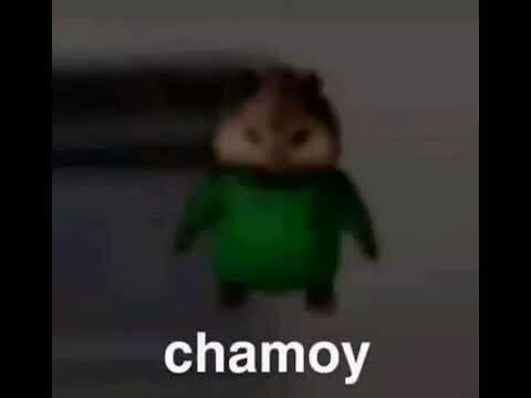 Integrantes del equipo: