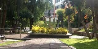 Licenciatura en Psicología