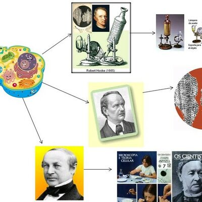 Timeline: Teoría celular