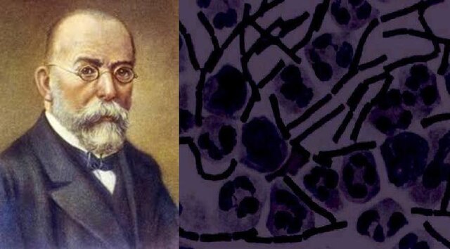 Robert Koch: Descubre bacillus anthracis