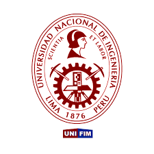 Integrantes del Grupo