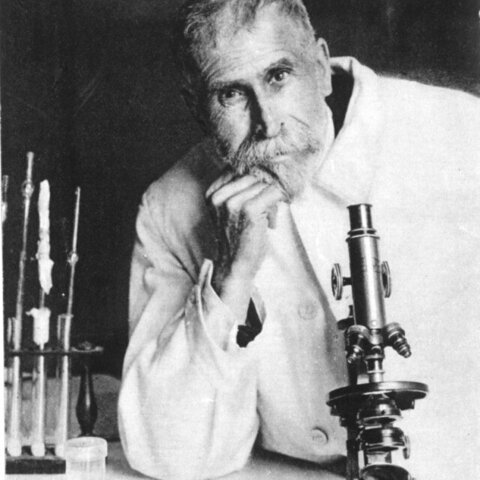 Emilie Roux, el fanático ayudante de Pasteur, continuó las investigaciones.