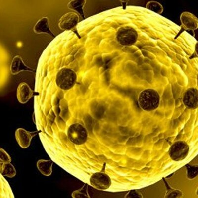 Timeline: Como ha avanzado el covid 19 en el mundo