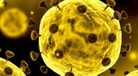 Timeline: Como ha avanzado el covid 19 en el mundo