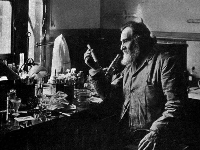 Elías Metchnikoff: Conejillo de Indias