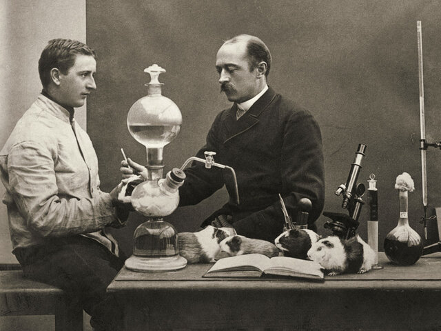 Emil Adolf von Behring: Antitoxinas