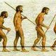 Historia de la administracion