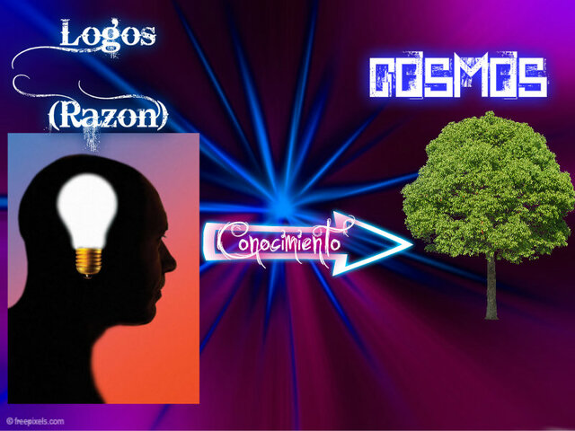 ACTITUD ARISTOCRÁTICA