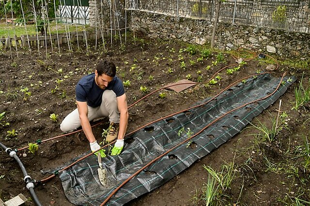 Descontento ante el problema de obstrucción
