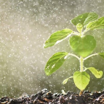 Timeline: Antecedentes del Fertirriego