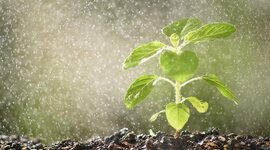 Timeline: Antecedentes del Fertirriego