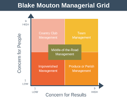 Management Grid