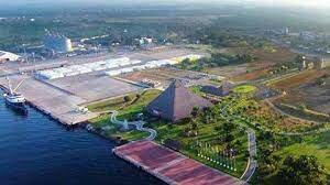 NUEVOS SECTORES PRODUCTIVOS