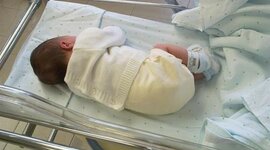 Timeline: Nacimiento 1991