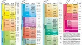 Timeline: Geokronoloogiline skaala Susanna EV