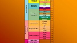 Timeline: Geokronoloogiline skaala G2EV Rasmus K