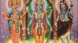 Timeline: taylor hightower