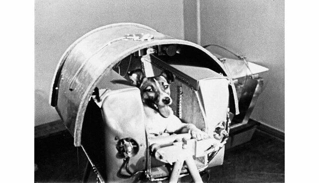 1st living being sent into the orbit.