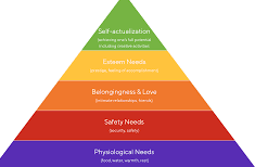 Hierarchy of Needs