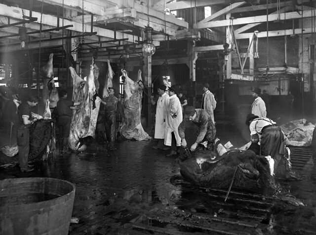 Inspecting Meat packaging plants