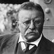 Roosevelt theodore wd