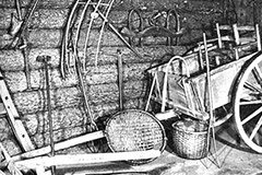 agriculture in the early america