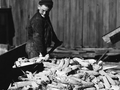 The increase of crop production at farms