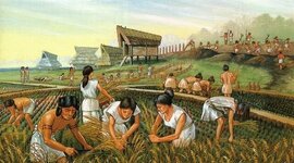 Timeline: Agriculture History 6/7