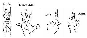 Unidades antropomórficas