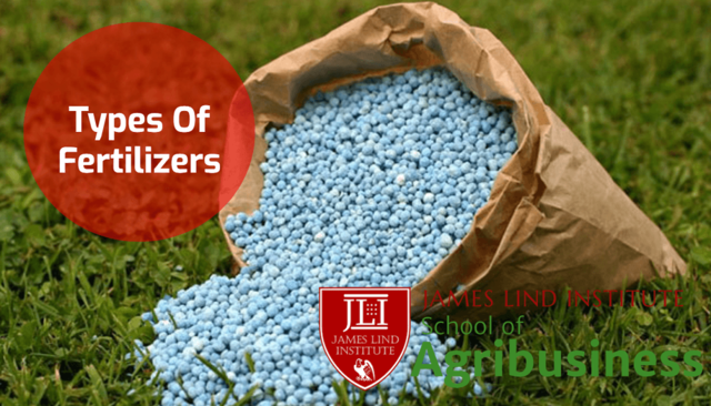 Development of Commercial Fertilizer Industry
