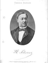 Theodor Schwann