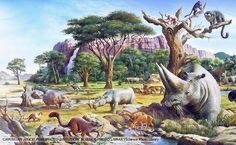 Paleogeen