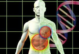 Revolución médica - Trabajo científico en equipo
