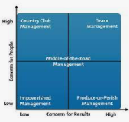 Management Grid