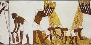 La Biotecnología se utiliza por primera vez en Egipto para la producción de la Cerveza  y Pan usando la fermentación.